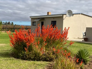 6 Bedroom Property for Sale in Koekenaap Western Cape